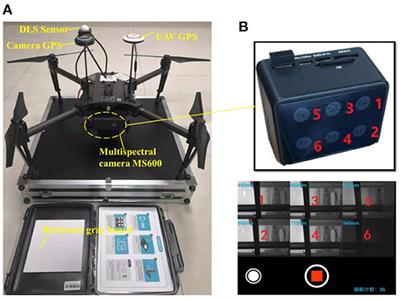 UAV multispectral multi-domain feature optimization for the air-to-ground recognition of outdoor injured human targets under cross-scene environment